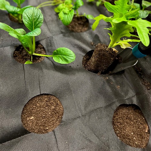 Hålad odlingsduk pallkrage (30/krt)