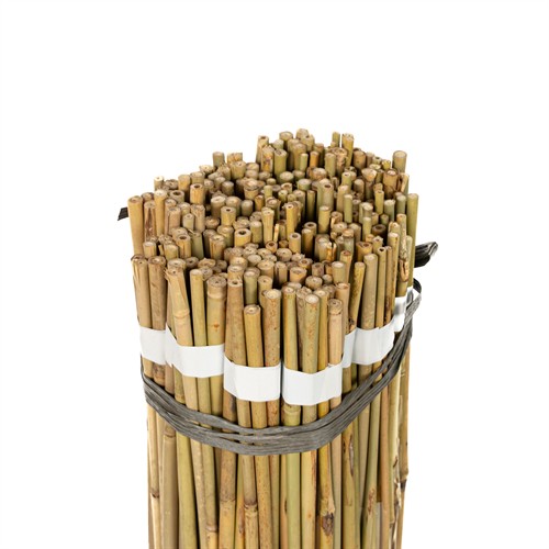 Bambukäpp 75 cm 10-pack