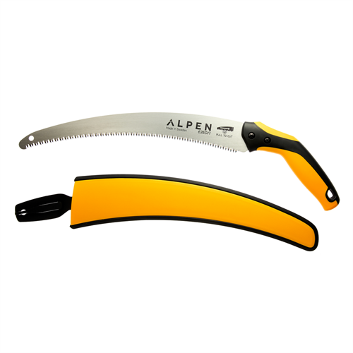 Alpen Grensåg Berninan 6350