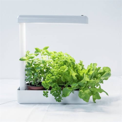 AIRAM Herby Plant 10W