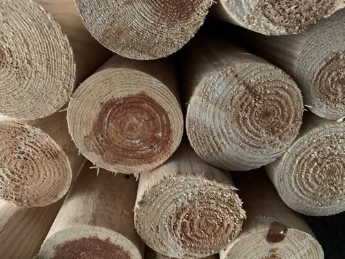 Granstör nat ej spe 3,0 m 7 cm