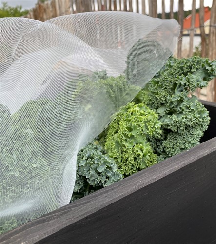 Kålnät 2.1 x 50 m PE 42gr